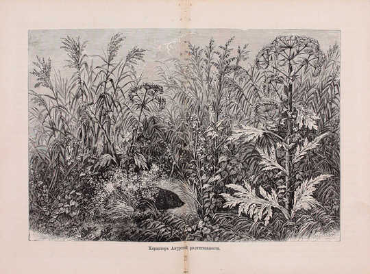 Алябьев [Г.]. Далекая Россия. Уссурийский край. СПб.: Тип. т-ва «Общественная польза», 1872.